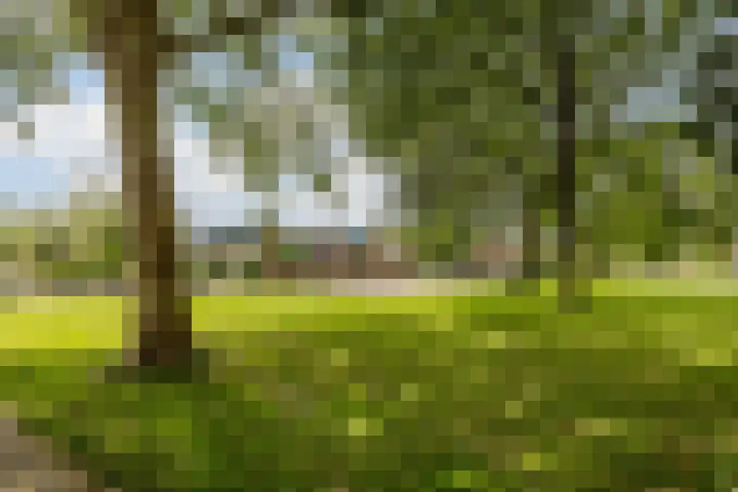Henegouwerhof 10 Bodegraven thumbnail 47
