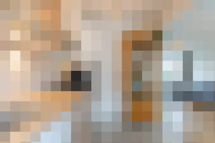 Henegouwerhof 41 Bodegraven thumbnail 4