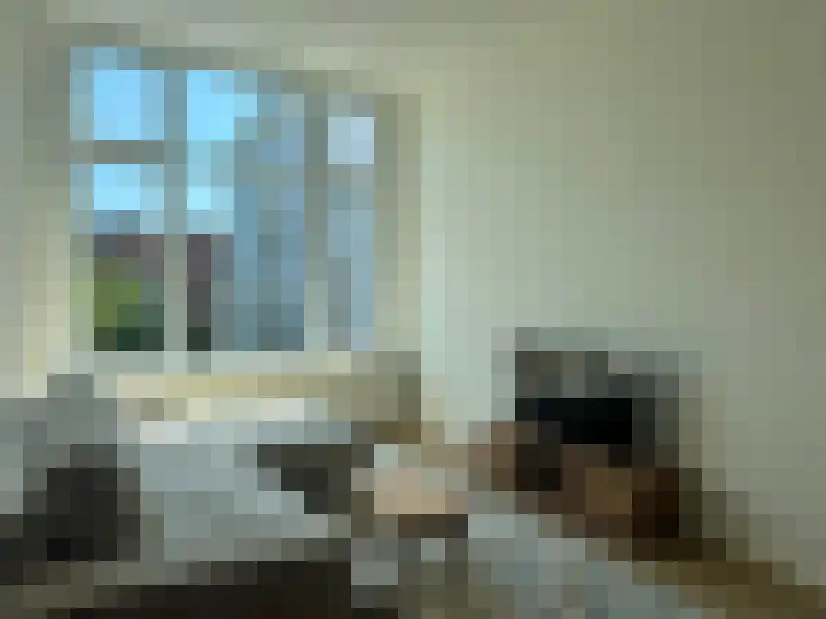 Henegouwerlaan 02 Rotterdam thumbnail 6