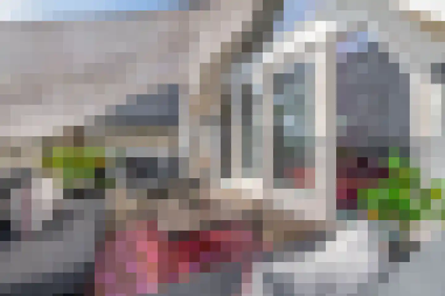 Henegouwerlaan 106 C 02 Rotterdam thumbnail 17