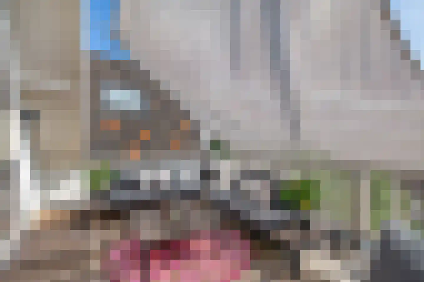 Henegouwerlaan 106 C 02 Rotterdam thumbnail 18