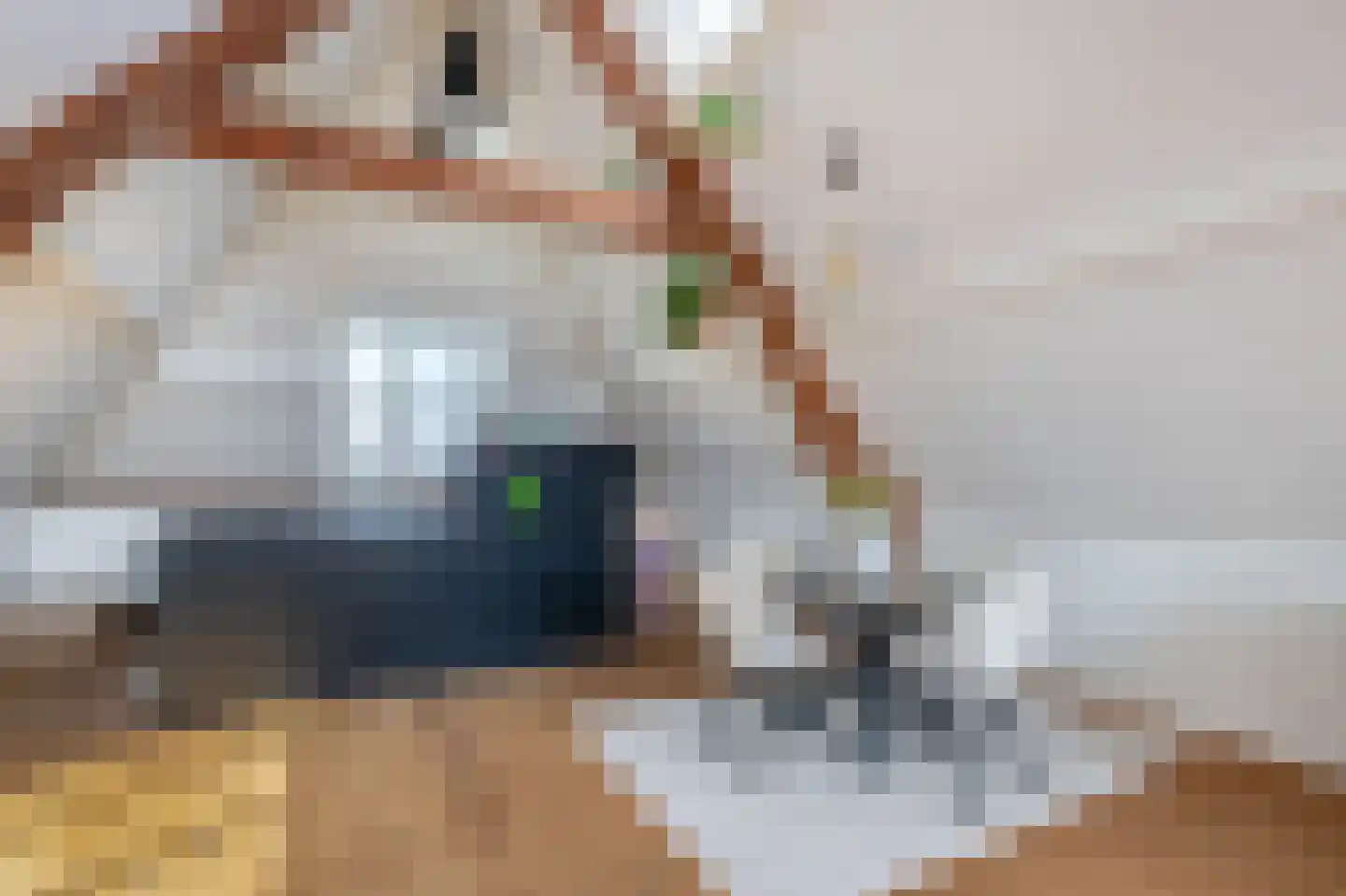 Henegouwerlaan 106 C 02 Rotterdam thumbnail 21
