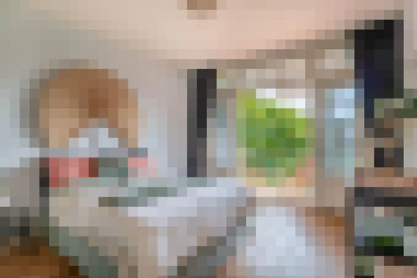 Henegouwerlaan 106 C 02 Rotterdam thumbnail 26