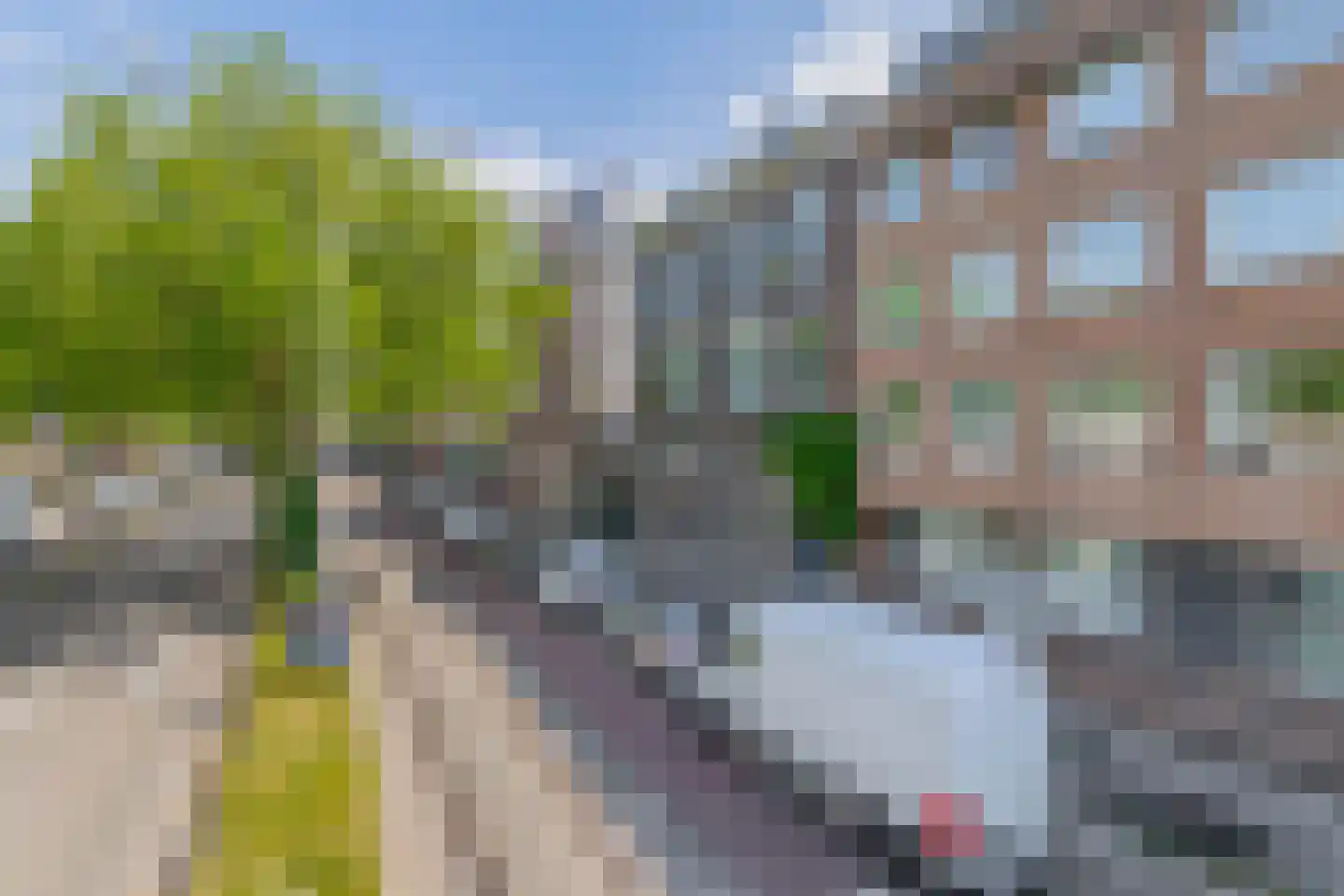 Henegouwerlaan 106 C 02 Rotterdam thumbnail 38