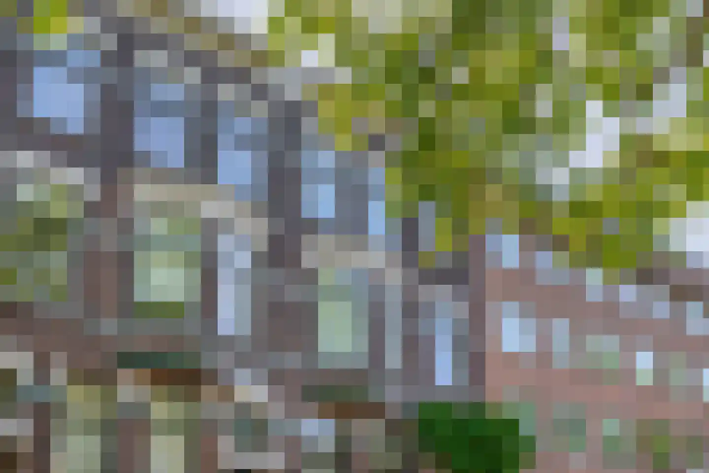 Henegouwerlaan 106 C 02 Rotterdam thumbnail 7