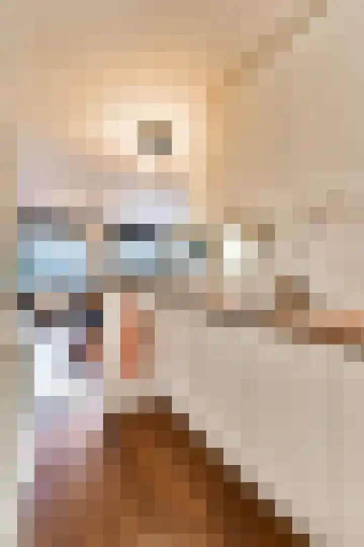 Henegouwerlaan 110 E Rotterdam thumbnail 11