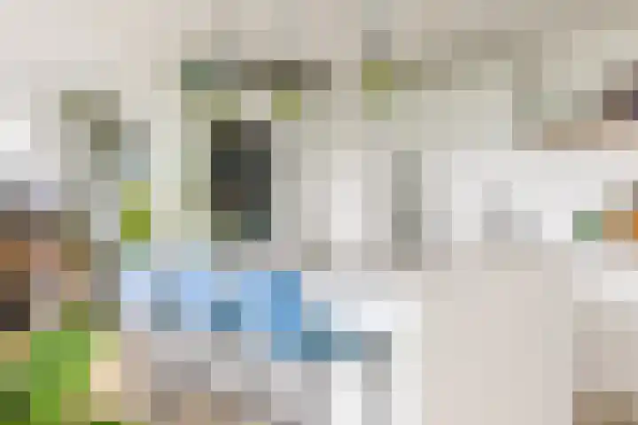 Henegouwerlaan 116 E Rotterdam thumbnail 10