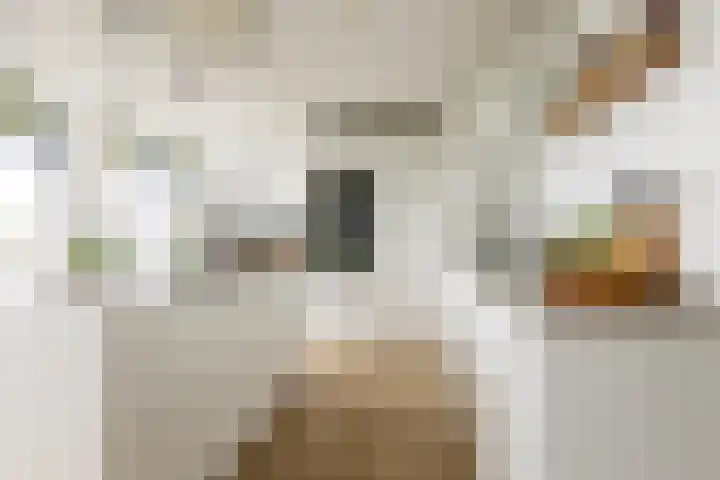 Henegouwerlaan 116 E Rotterdam thumbnail 11