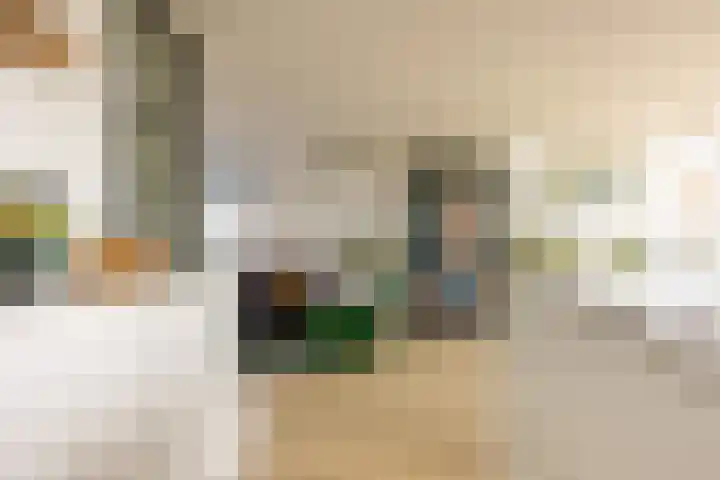 Henegouwerlaan 116 E Rotterdam thumbnail 13