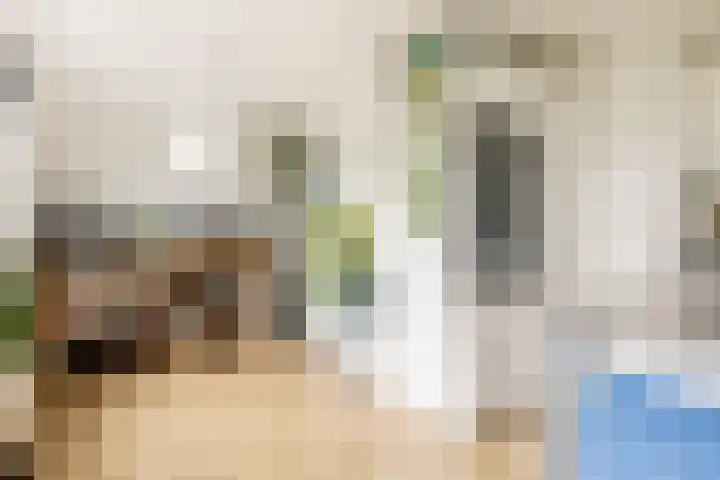 Henegouwerlaan 116 E Rotterdam thumbnail 14