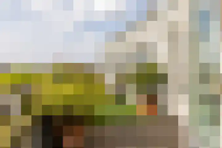 Henegouwerlaan 116 E Rotterdam thumbnail 20