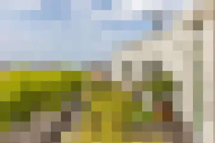 Henegouwerlaan 116 E Rotterdam thumbnail 21