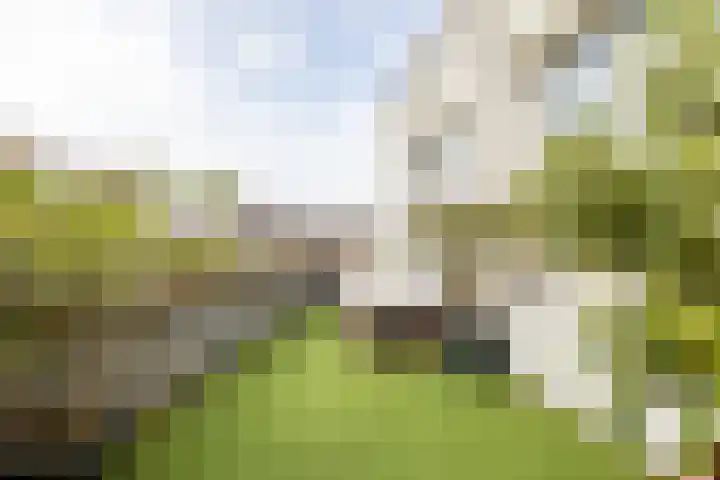 Henegouwerlaan 116 E Rotterdam thumbnail 22