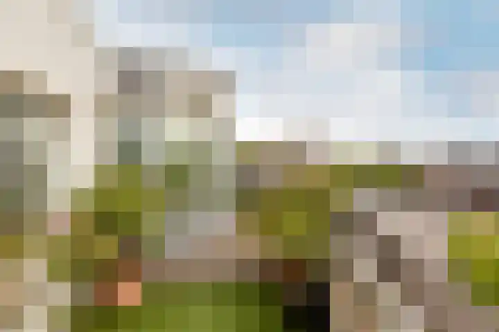 Henegouwerlaan 116 E Rotterdam thumbnail 23