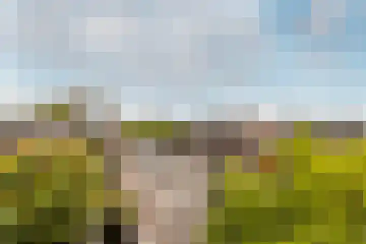 Henegouwerlaan 116 E Rotterdam thumbnail 24