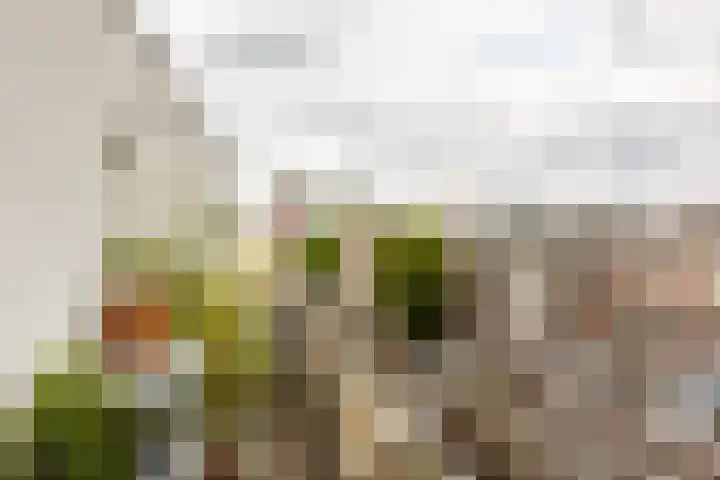 Henegouwerlaan 116 E Rotterdam thumbnail 27