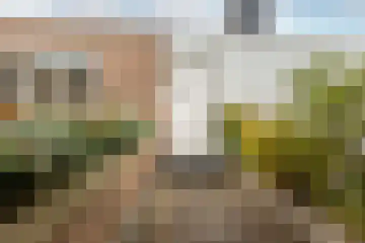 Henegouwerlaan 116 E Rotterdam thumbnail 37
