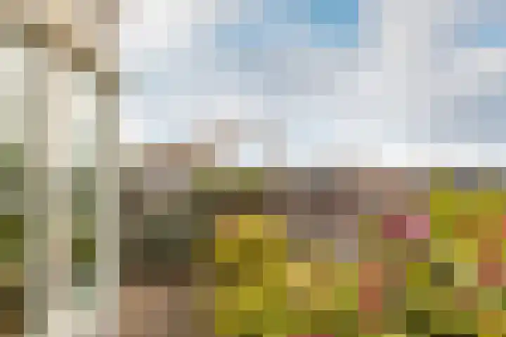 Henegouwerlaan 116 E Rotterdam thumbnail 4