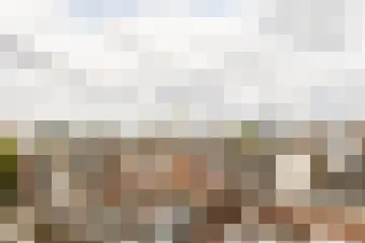 Henegouwerlaan 116 E Rotterdam thumbnail 5