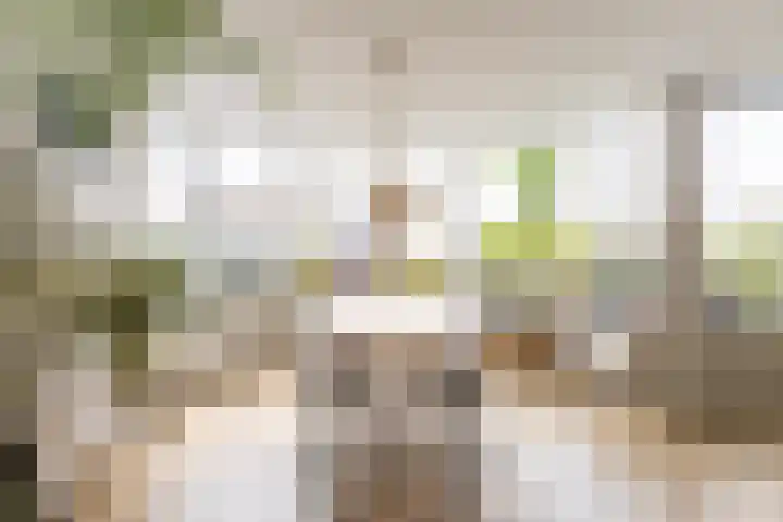Henegouwerlaan 116 E Rotterdam thumbnail 7