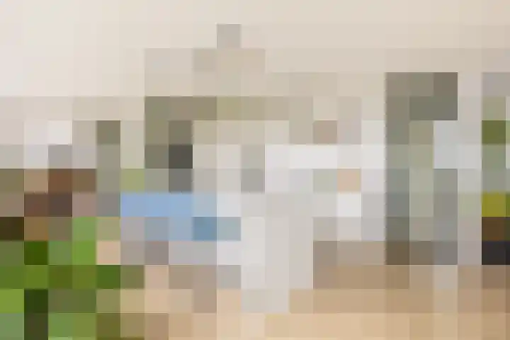 Henegouwerlaan 116 E Rotterdam thumbnail 8