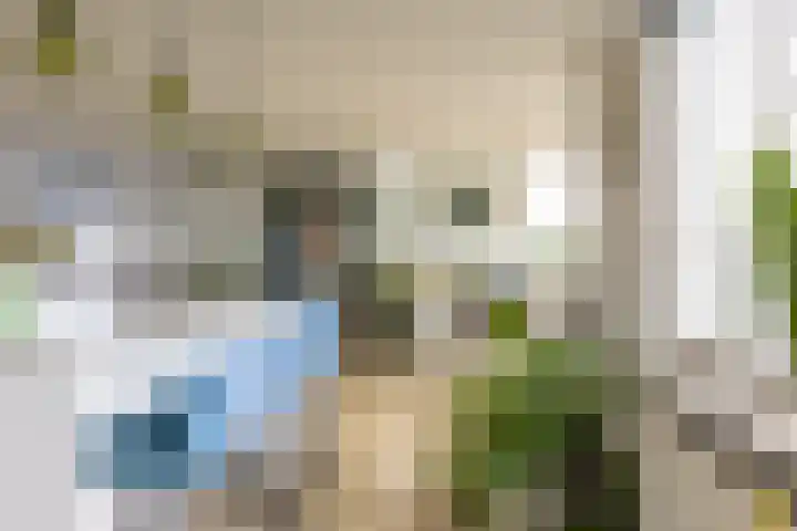 Henegouwerlaan 116 E Rotterdam thumbnail 9