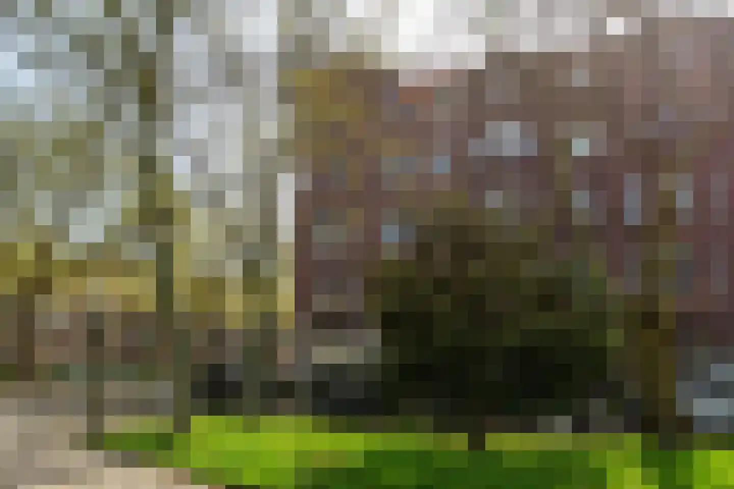 Henegouwerlaan 25 C 03 Rotterdam thumbnail 9