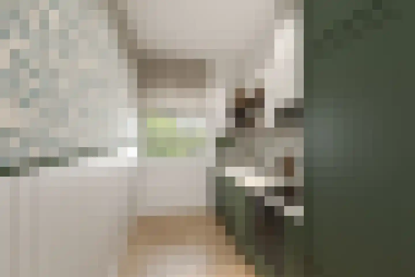 Henegouwerlaan 26 D Rotterdam thumbnail 19
