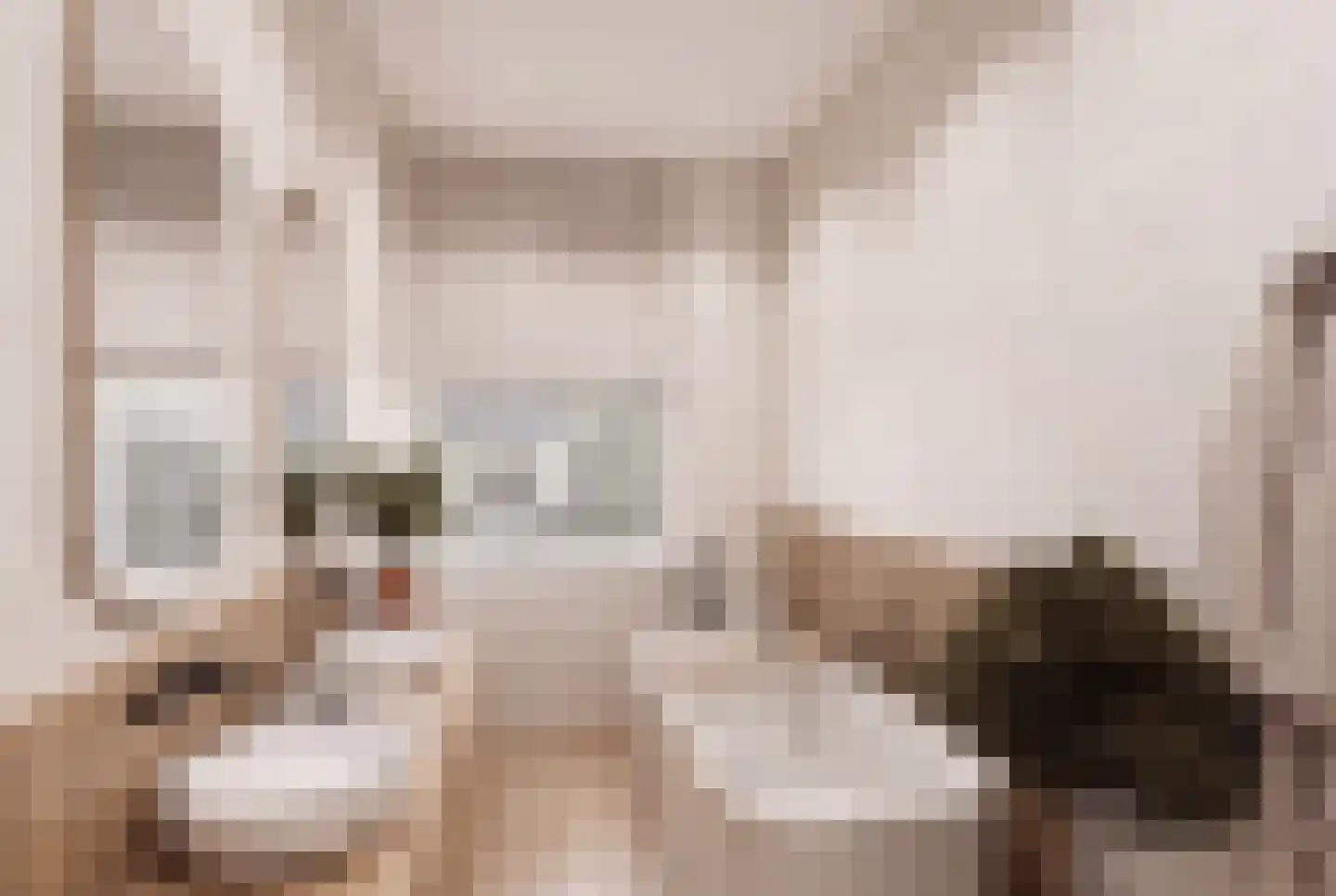 Henegouwerlaan 26 D Rotterdam thumbnail 26