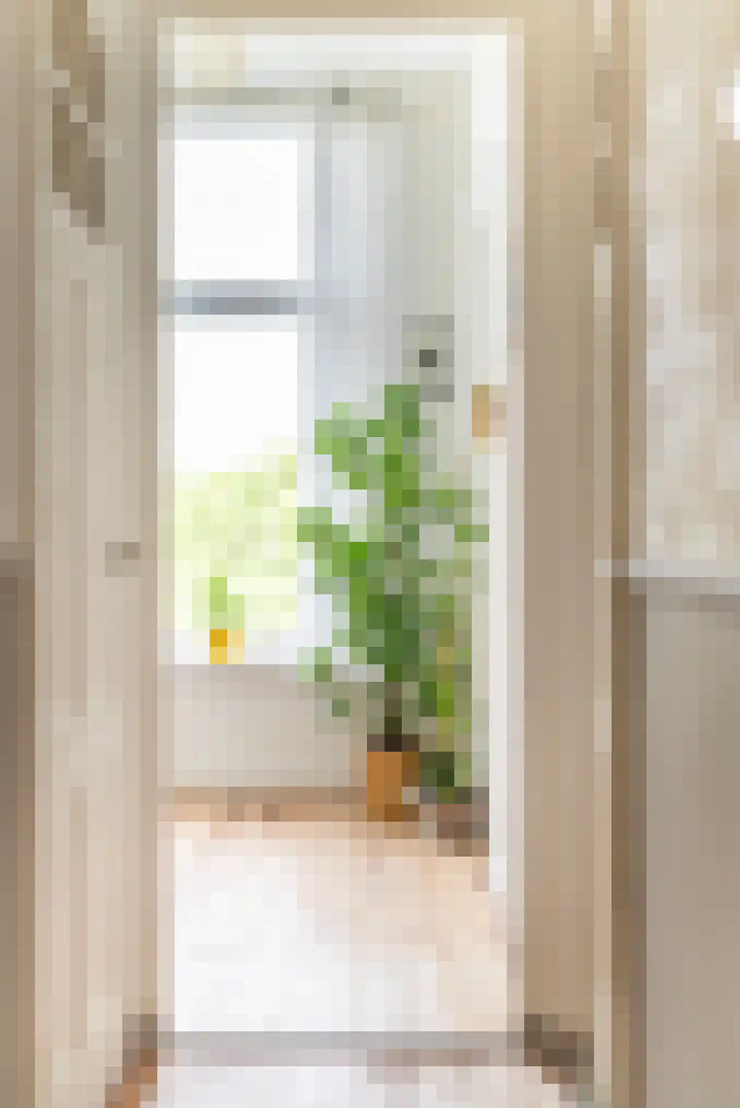 Henegouwerlaan 26 D Rotterdam thumbnail 37
