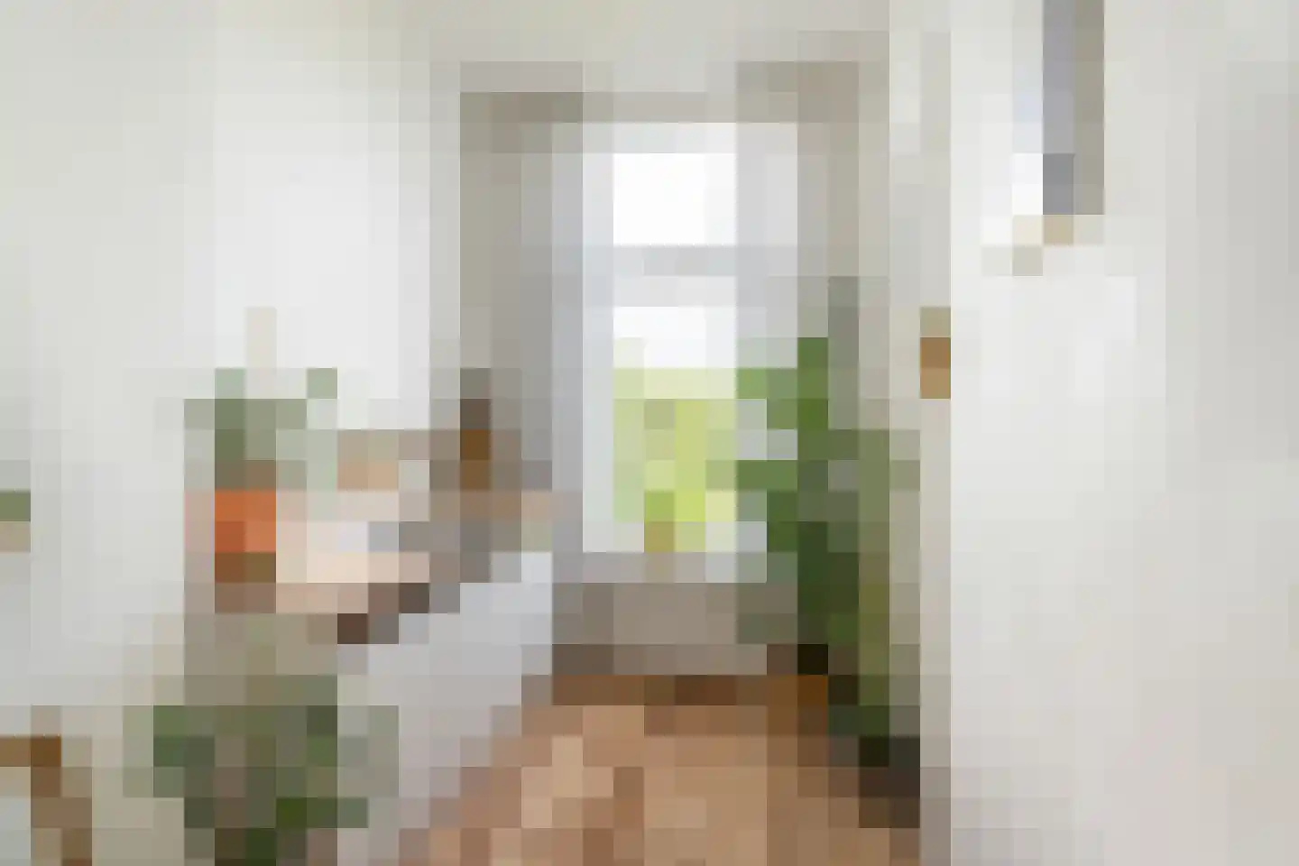 Henegouwerlaan 26 D Rotterdam thumbnail 38