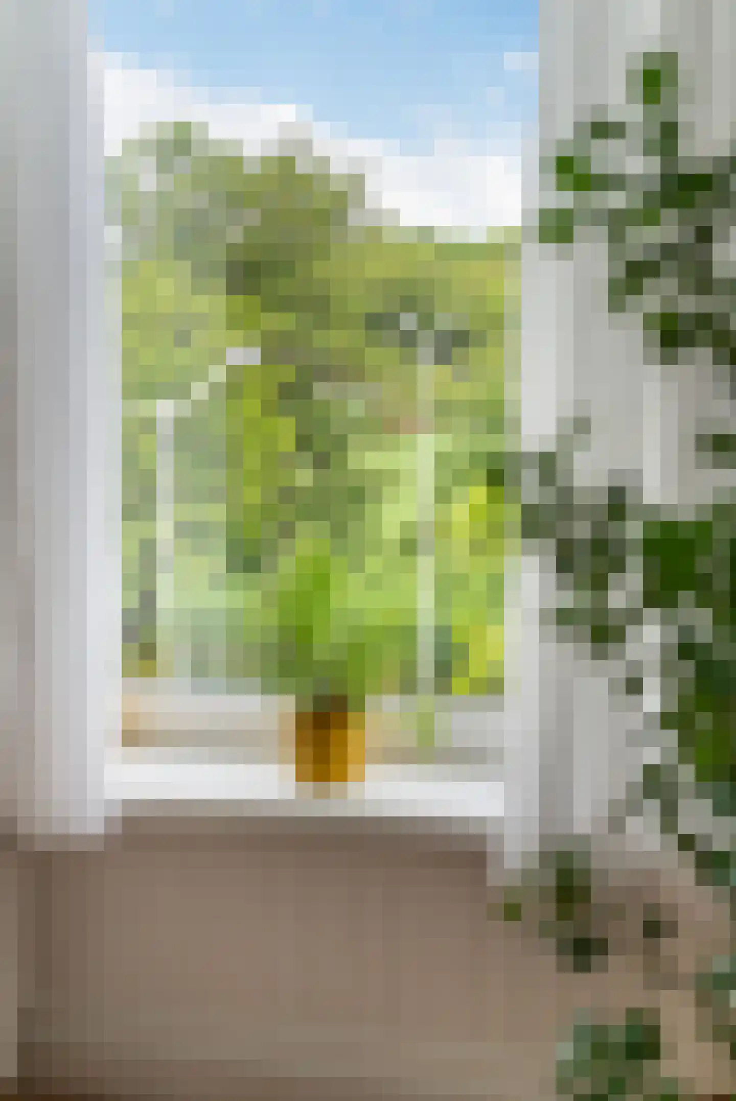 Henegouwerlaan 26 D Rotterdam thumbnail 39