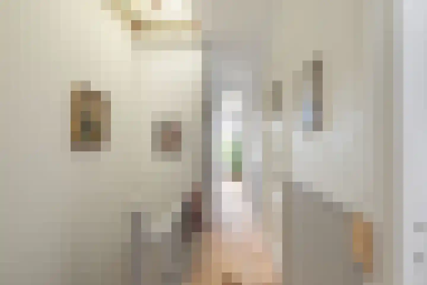 Henegouwerlaan 26 D Rotterdam thumbnail 40