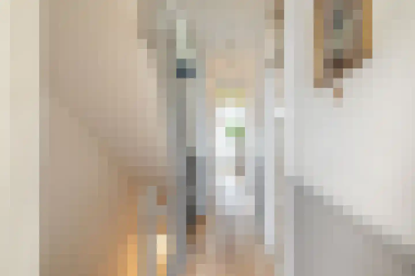 Henegouwerlaan 26 D Rotterdam thumbnail 5