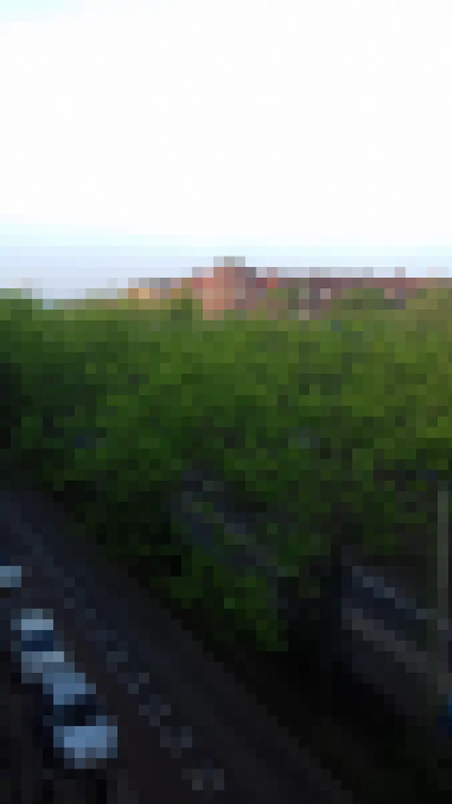 Henegouwerlaan 26 D Rotterdam thumbnail 51