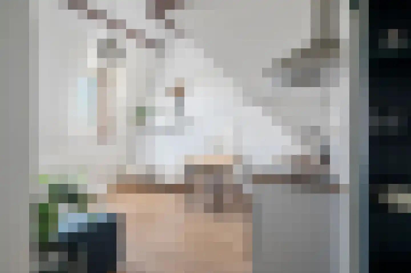 Henegouwerlaan 36 D Rotterdam thumbnail 9