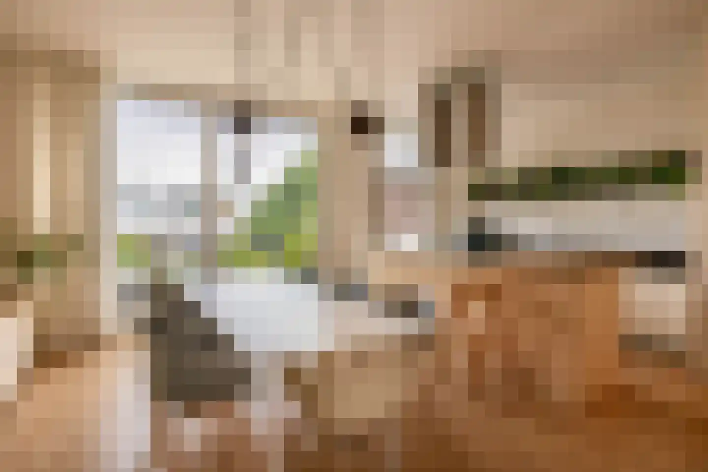 Henegouwerlaan 37 A Rotterdam thumbnail 35