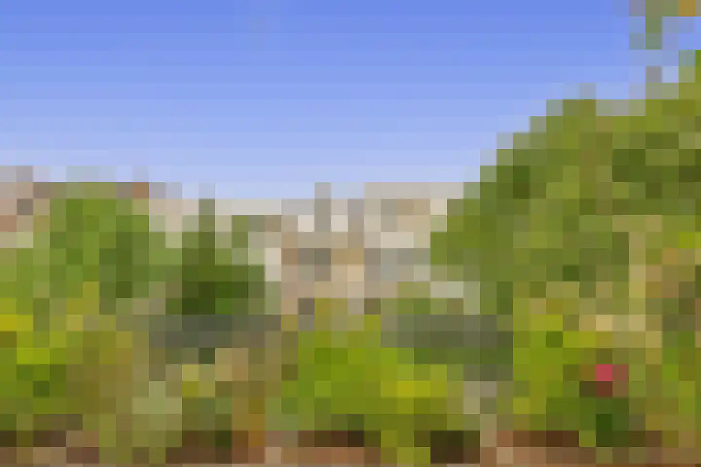 Henegouwerlaan 37 A Rotterdam thumbnail 37