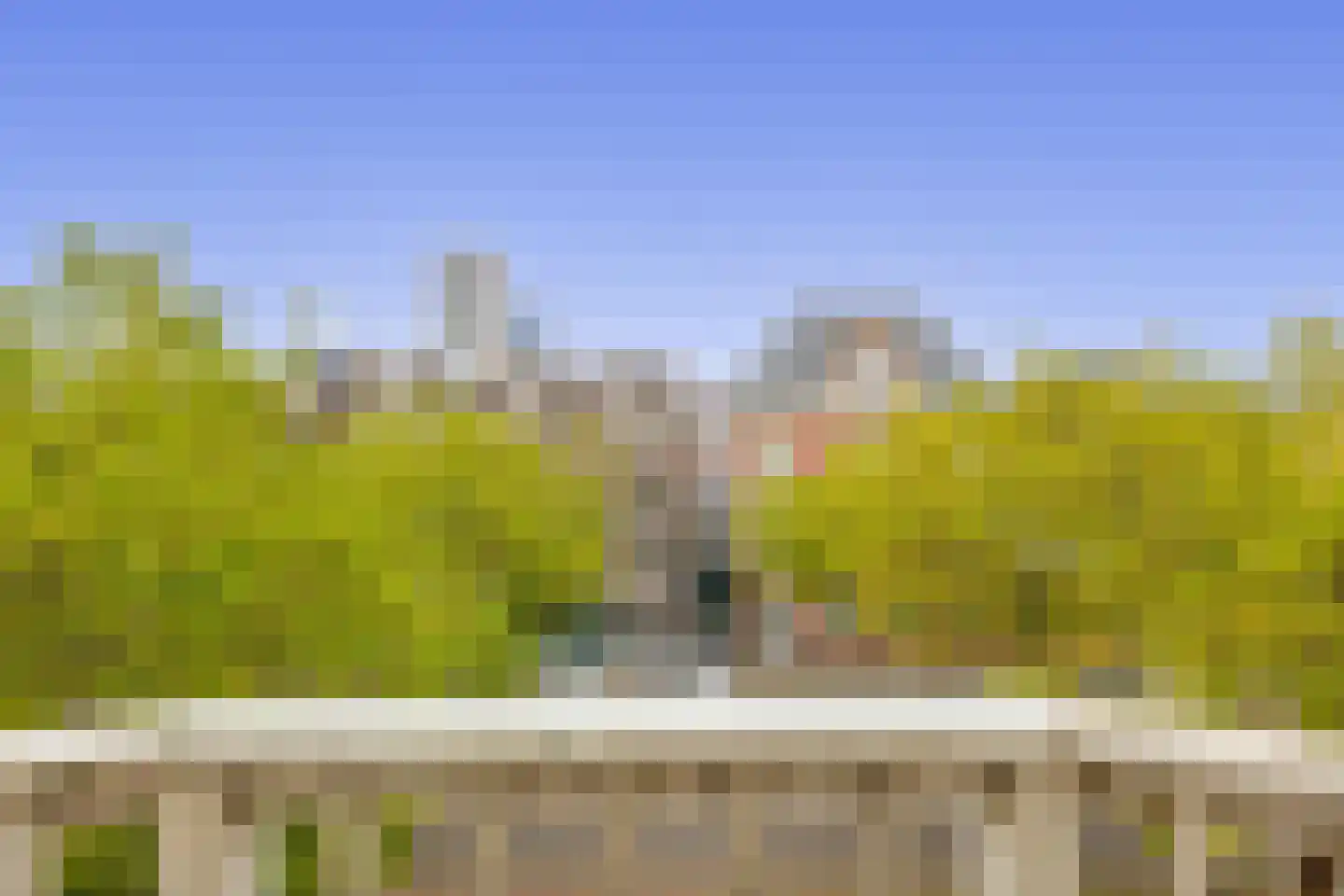 Henegouwerlaan 37 A Rotterdam thumbnail 42