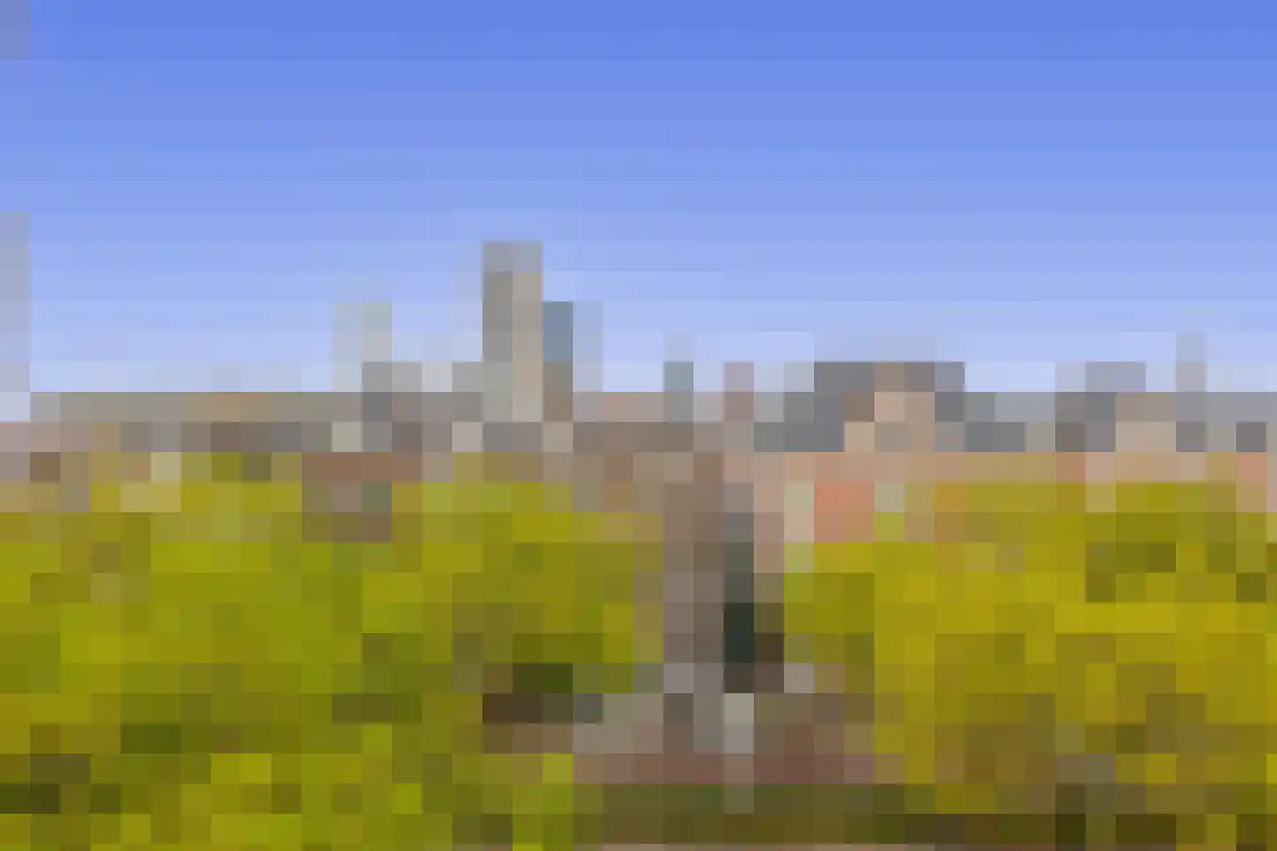 Henegouwerlaan 37 A Rotterdam thumbnail 43