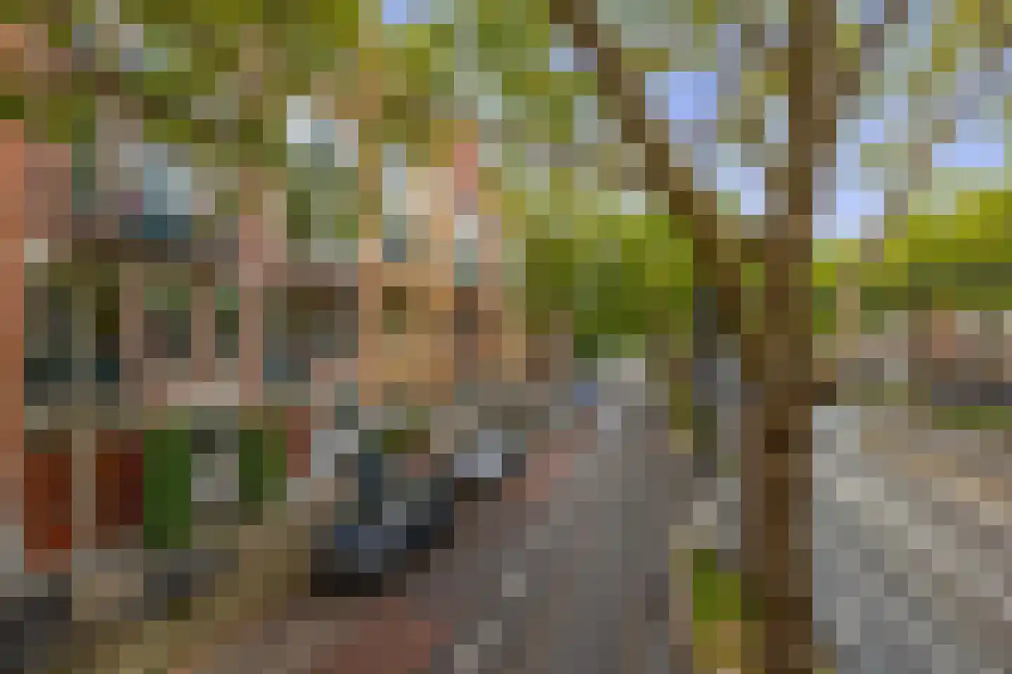 Henegouwerlaan 37 A Rotterdam thumbnail 62