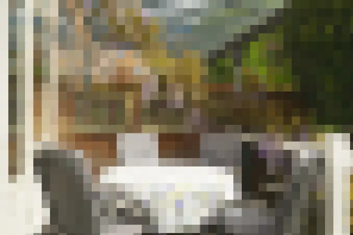Henegouwerlaan 38 A Rotterdam thumbnail 30
