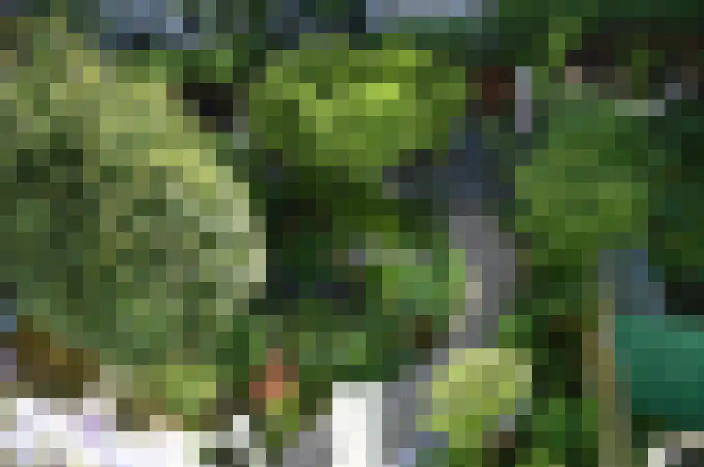 Henegouwerlaan 38 A Rotterdam thumbnail 32