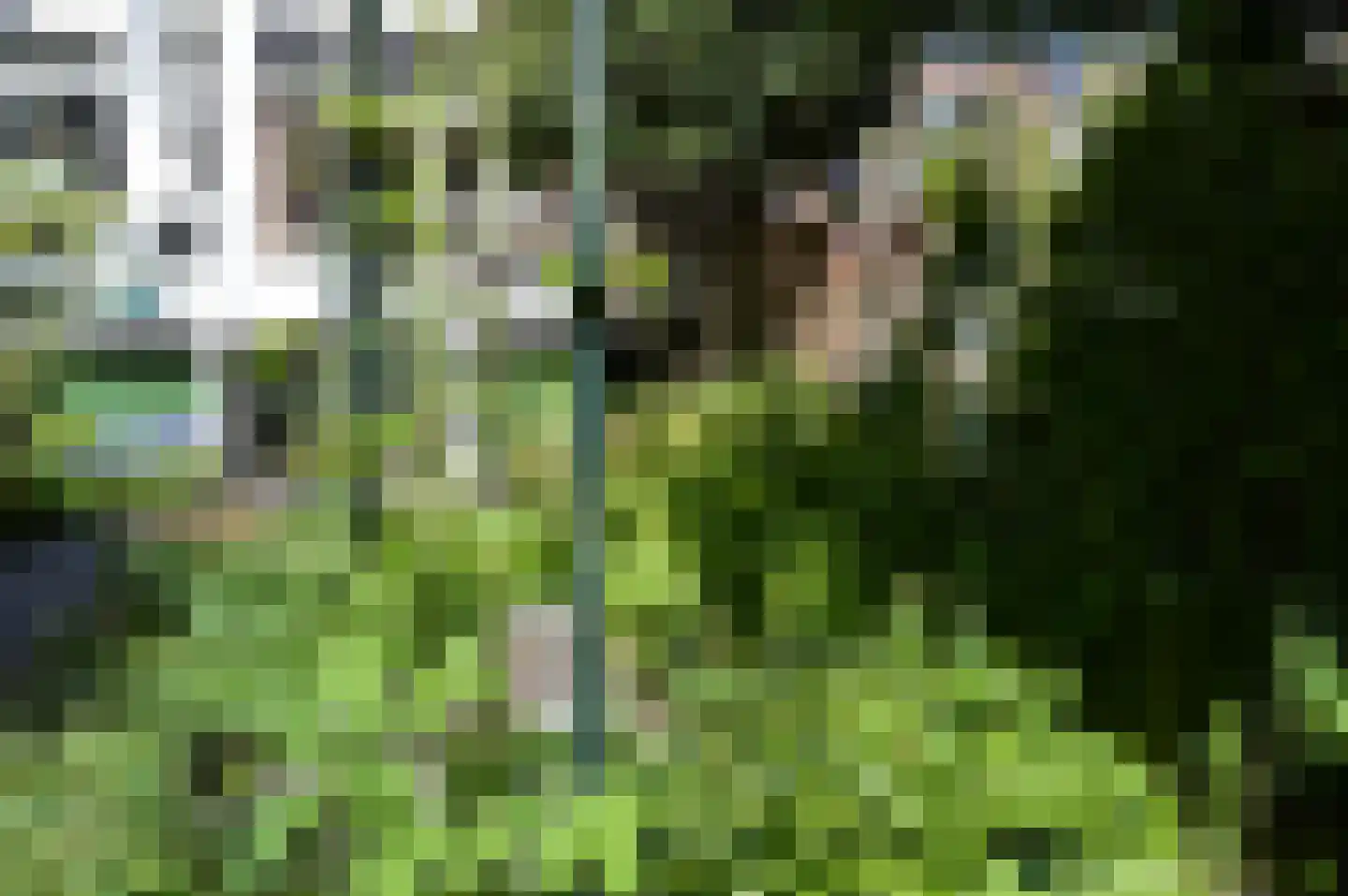 Henegouwerlaan 38 A Rotterdam thumbnail 33