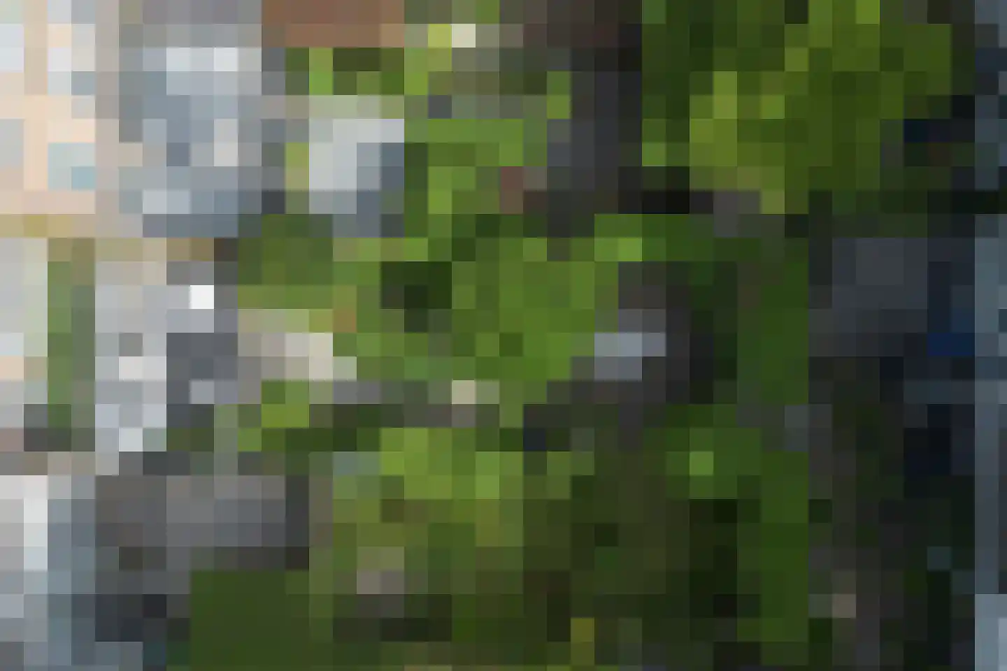 Henegouwerlaan 38 A Rotterdam thumbnail 35