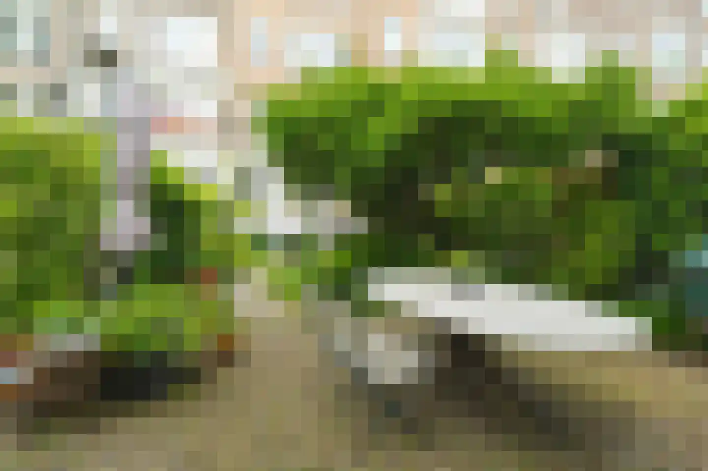 Henegouwerlaan 38 A Rotterdam thumbnail 37