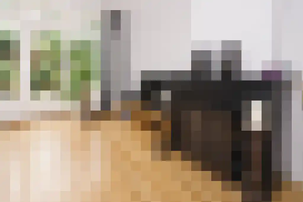 Henegouwerlaan 39 Rotterdam thumbnail 4