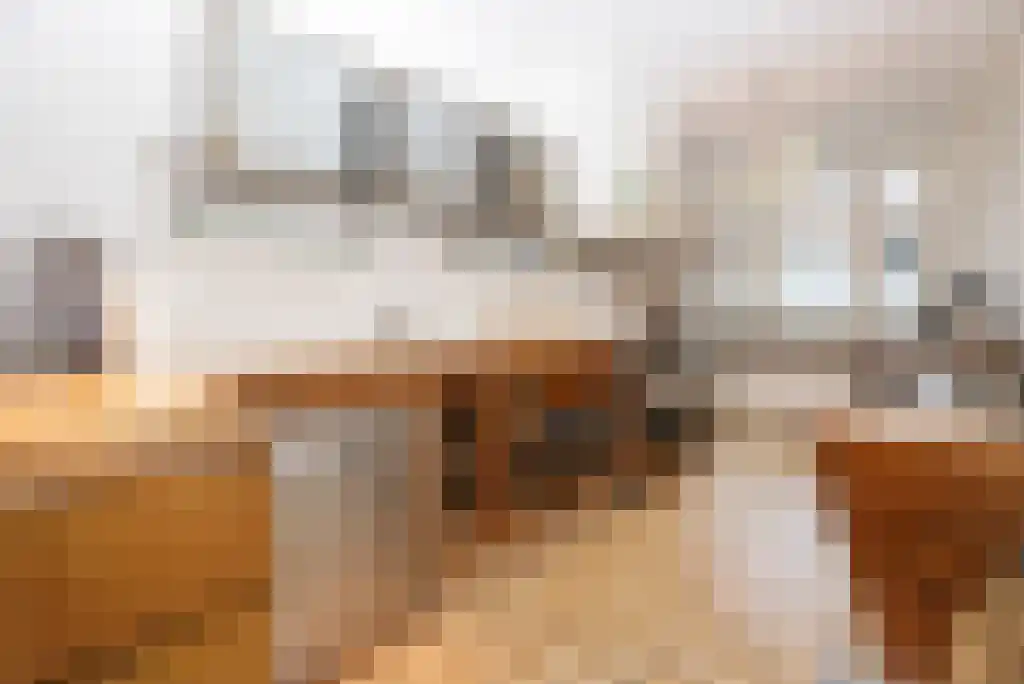 Henegouwerlaan 39 Rotterdam thumbnail 5