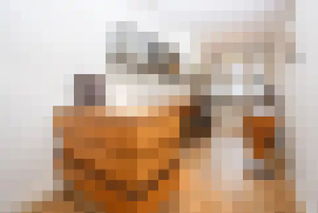 Henegouwerlaan 39 Rotterdam thumbnail 6