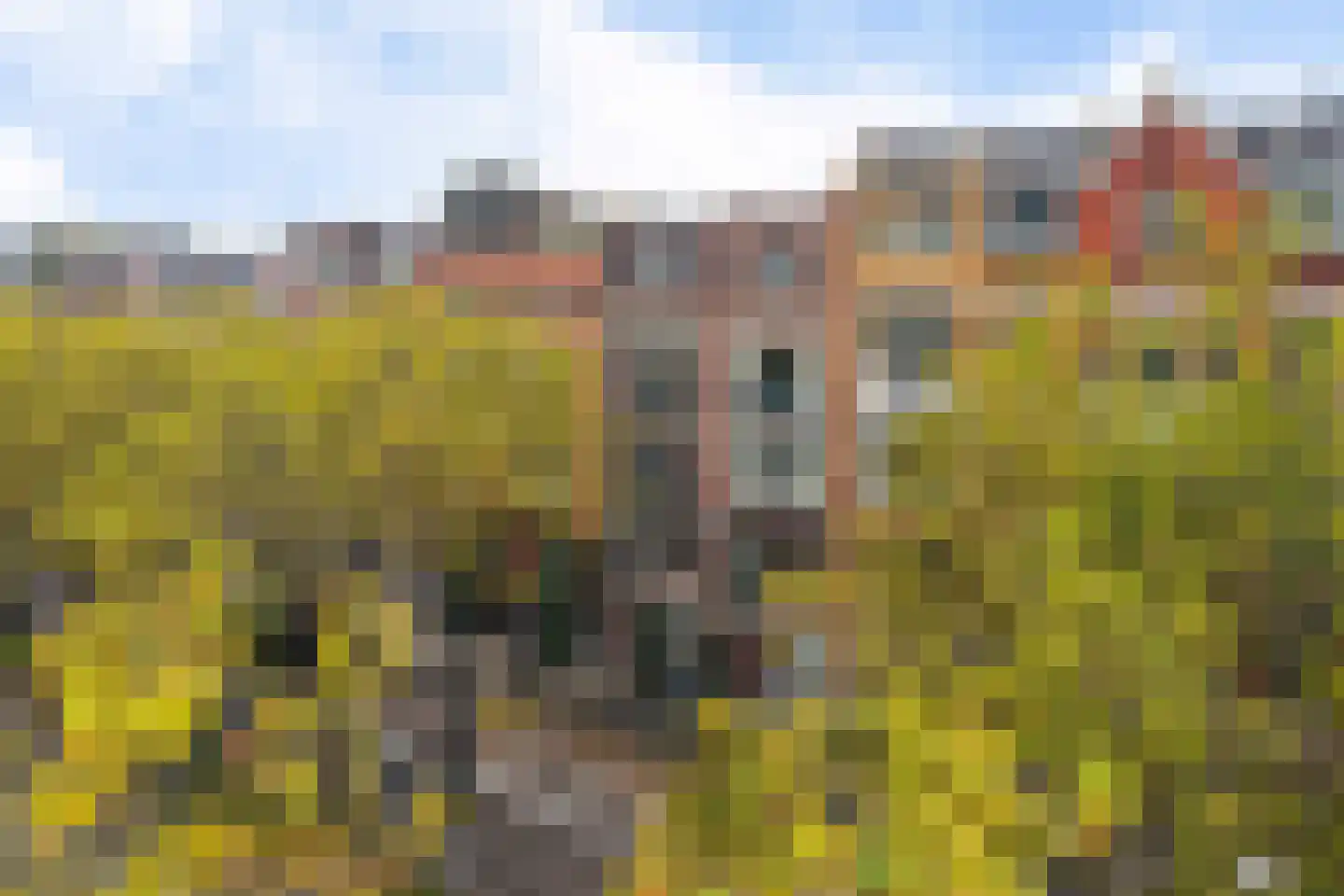 Henegouwerlaan 41 A Rotterdam thumbnail 10
